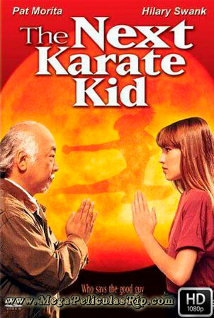Karate Kid 4 1080p Latino